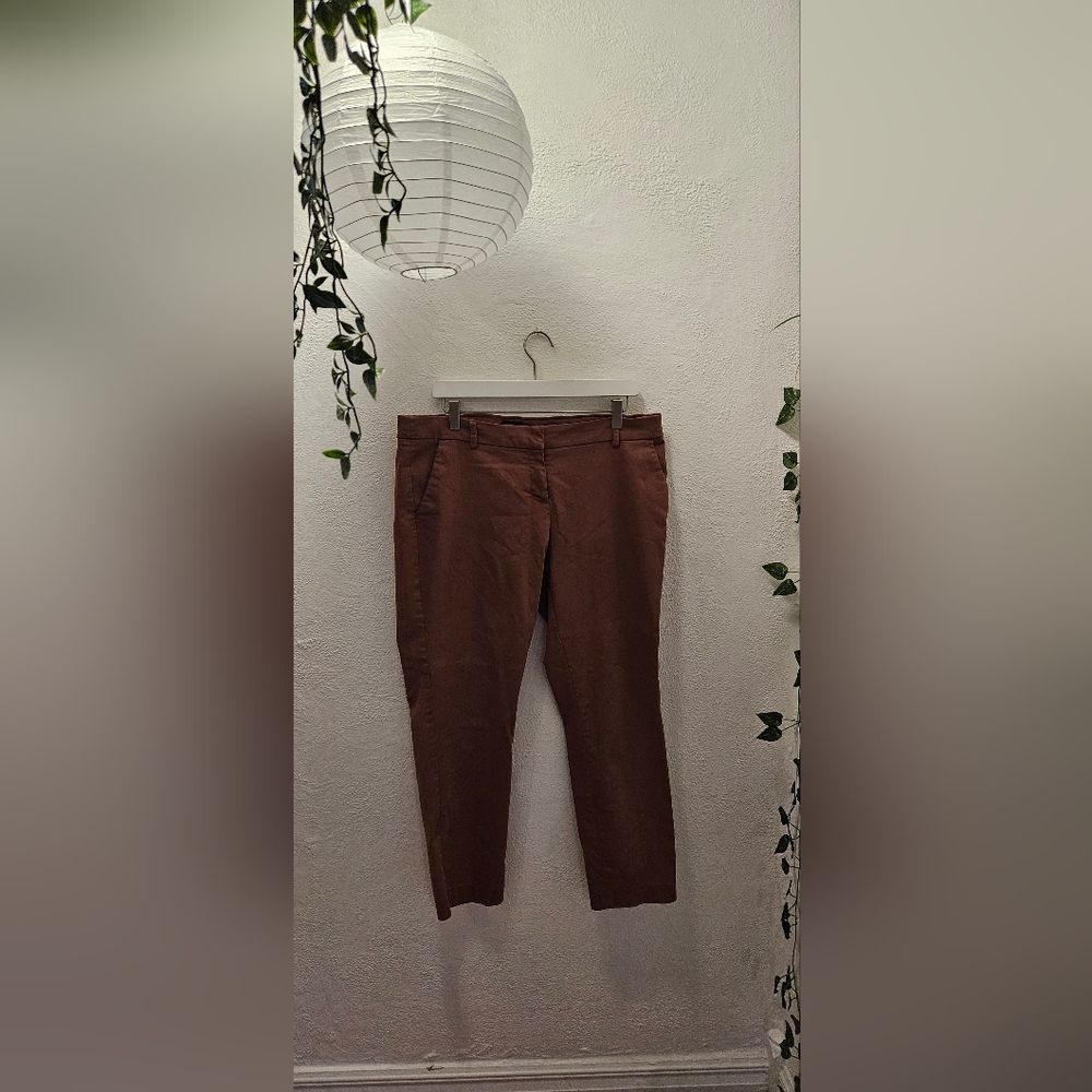 Womens Express Slacks Skinny Size 12